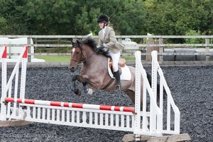 Class 3 -  Fences not above 2'3